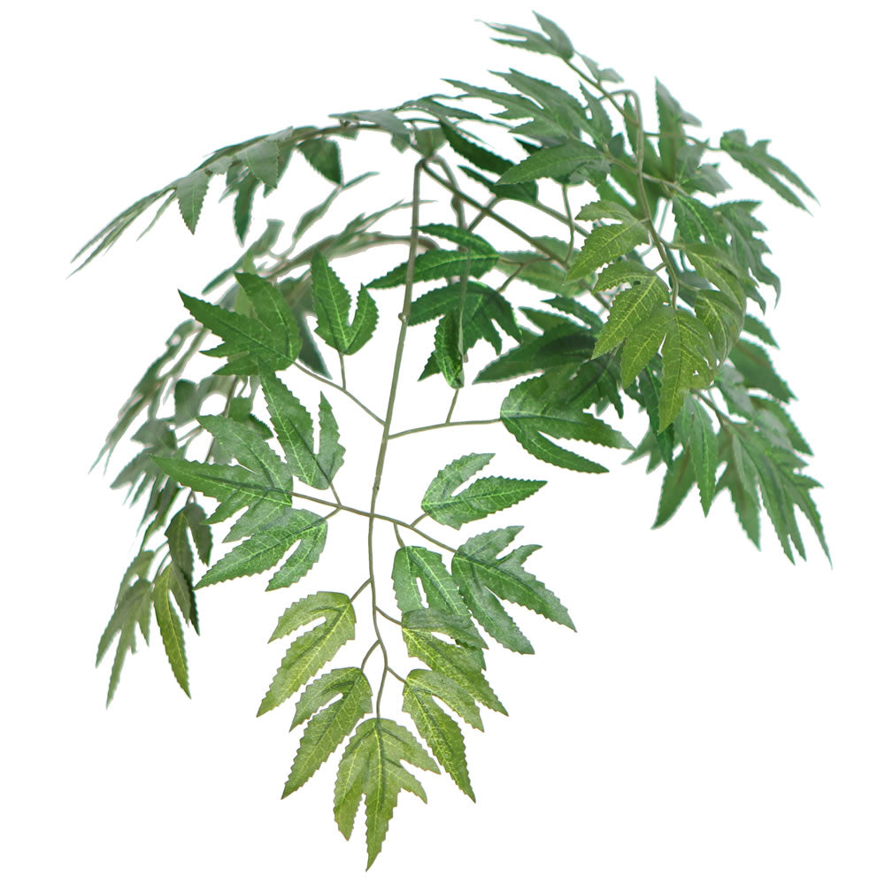 Vickerman 6' Artificial Ming Aralia Executive Tree Gray Round Plastic Container.