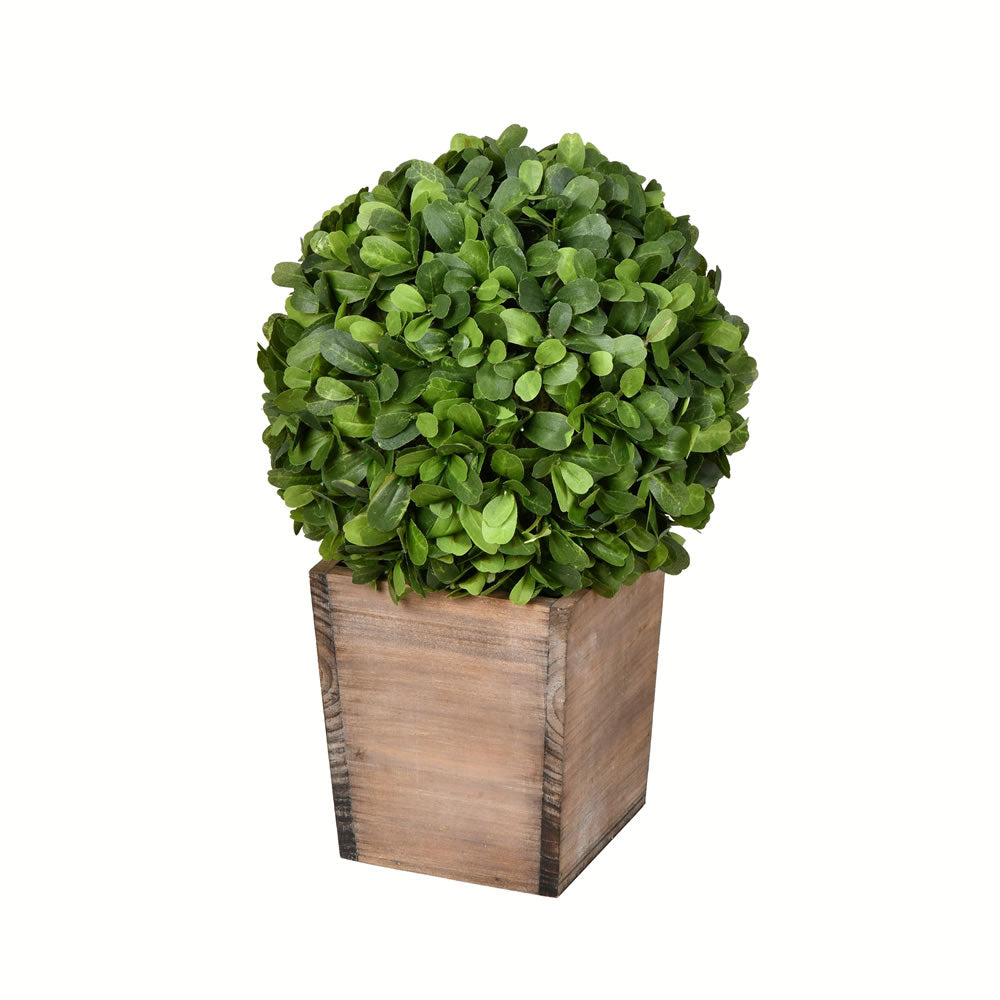 Vickerman 16" Artificial Potted Boxwood Ball in Wooden Pot.