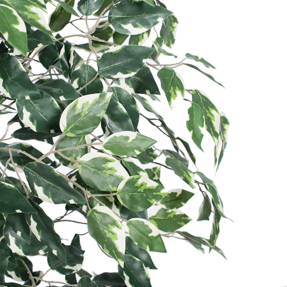 Vickerman 6' Artificial Variegated Ficus Rattan Basket