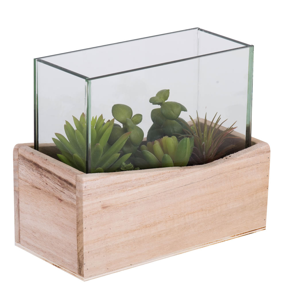 Vickerman 6" Artificial Green Assorted Succulents in Wood Container and Glass Top.