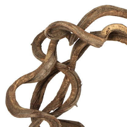 Vickerman 13" Natural Coiled Vine Dried