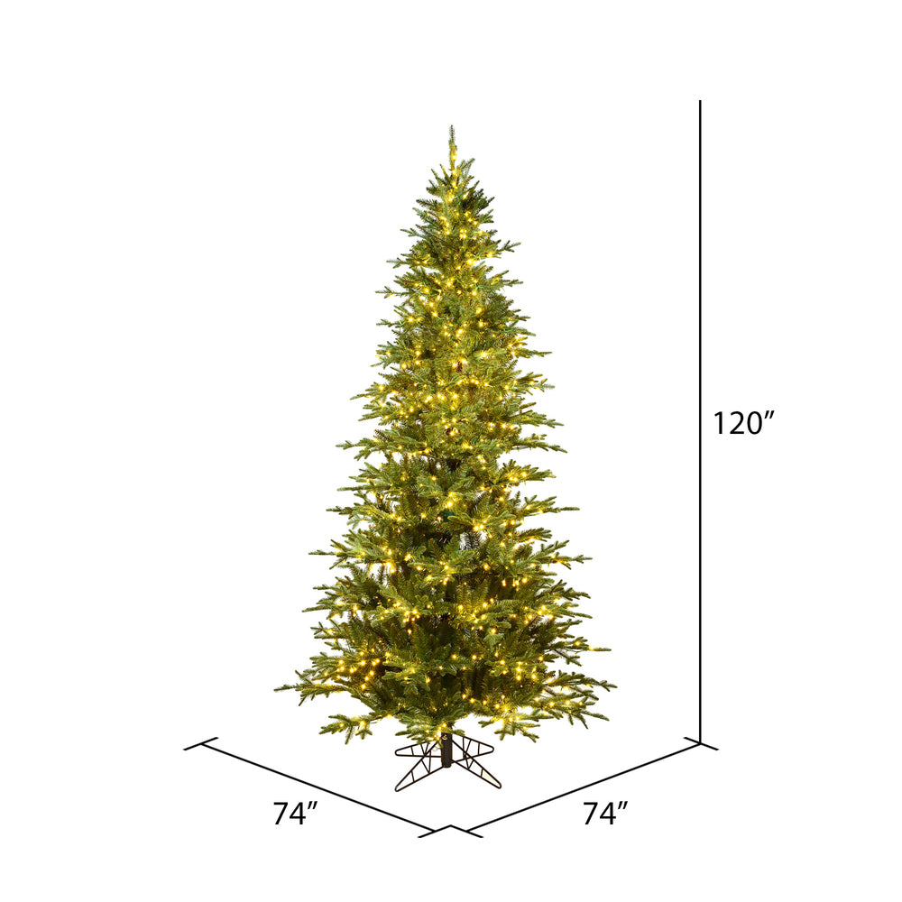 Vickerman 10' x 74" Kamas Fraser Fir Artificial Christmas Tree Warm White Dura-lit LED Lights