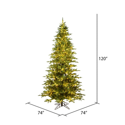 Vickerman 10' x 74" Kamas Fraser Fir Artificial Christmas Tree Warm White Dura-lit LED Lights