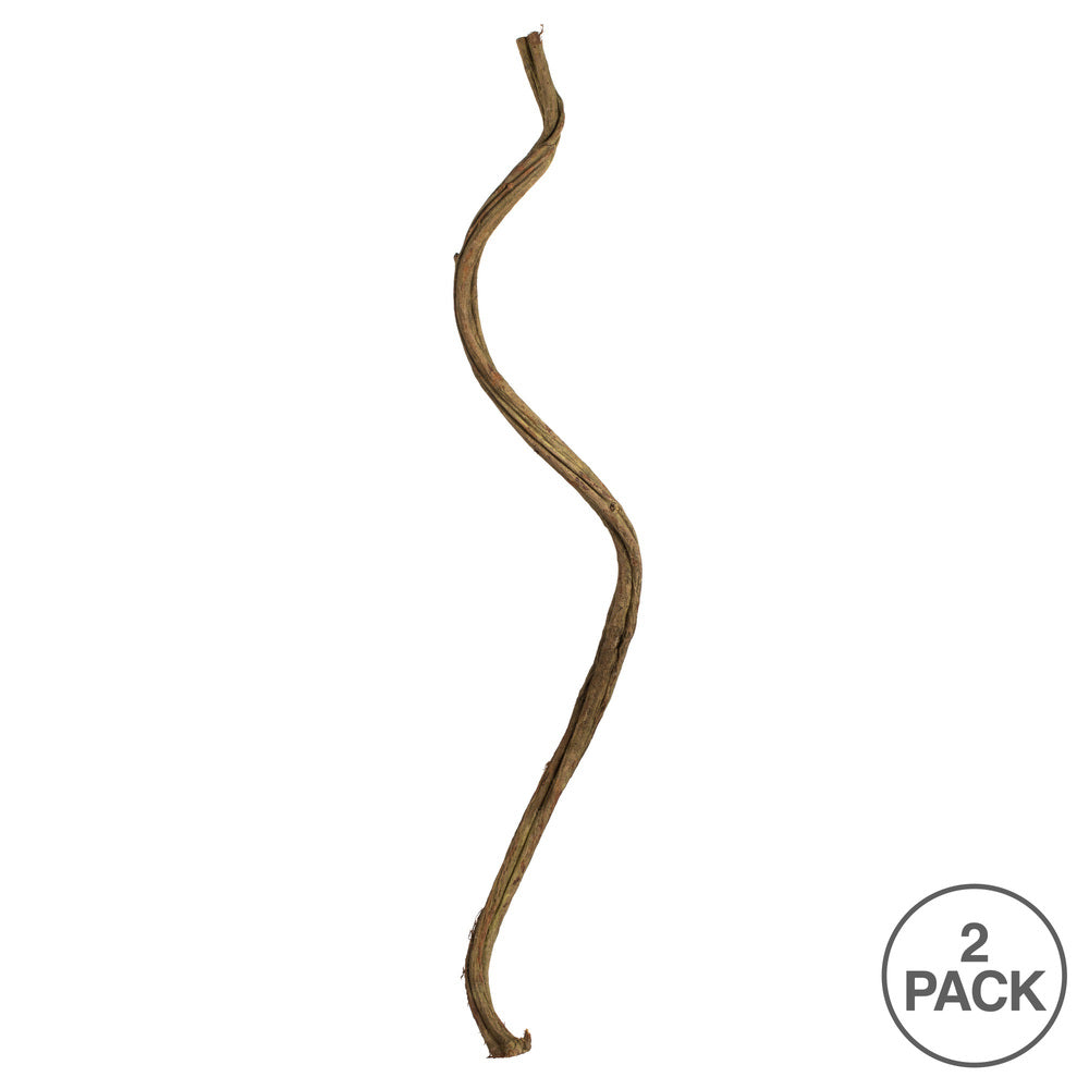 Vickerman 38-45" Basil Twisted Vine.  Includes 2 Twisted Vines per Pack Dried