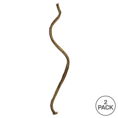 Vickerman 38-45" Basil Twisted Vine.  Includes 2 Twisted Vines per Pack Dried