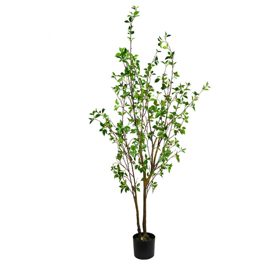 Vickerman 72" Artificial Potted Baby Leaf Tree in Black Planters Pot.