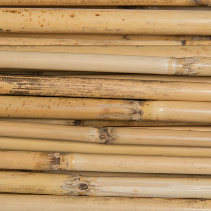 Vickerman Natural Botanicals 40" Bamboo Reed Natural Clean. Includes 100 pieces per pack.