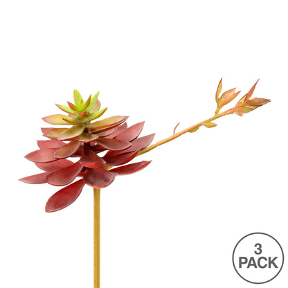 Vickerman 6" Artificial Black Prince Echeveria Pick Set of 3