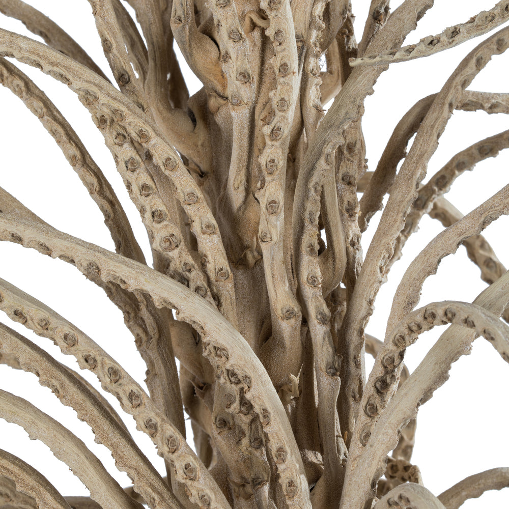 Vickerman 50-60" Natural Medusa Branch - long 1 piece Dried