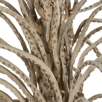 Vickerman 50-60" Natural Medusa Branch - long 1 piece Dried