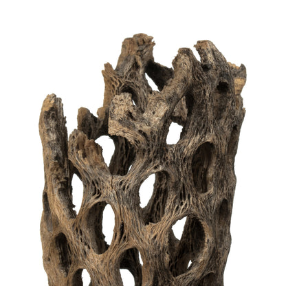 Vickerman 10-12" Weathered Cholla Deco Segment 1 piece Dried