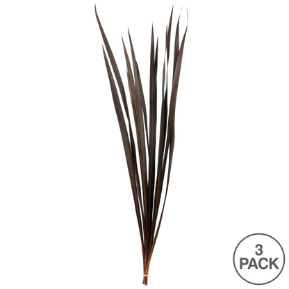 Vickerman 18-30" Brown Snake Grass. Includes 36 Stems (3 - 12 Stem Bundles) Dried