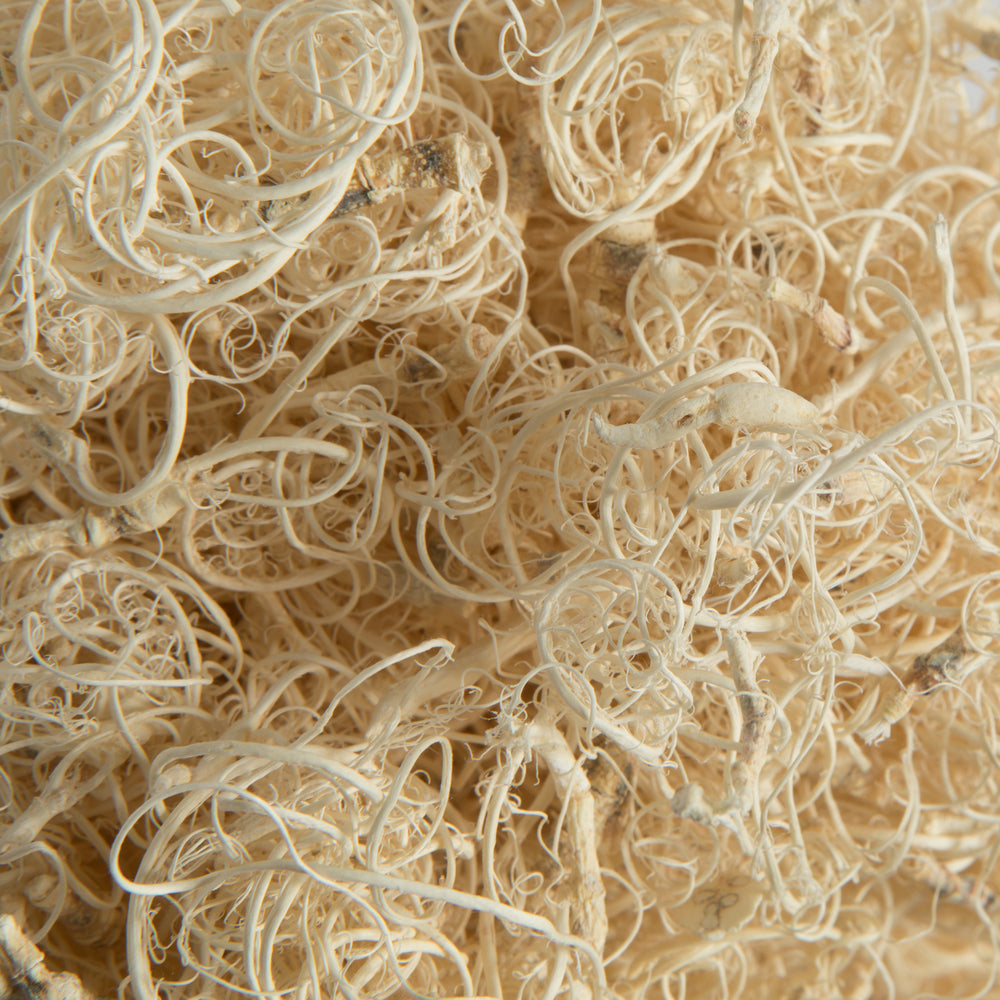 Vickerman Natural Botanicals Curly Moss Bleached. Includes 2.2 Lbs per pack