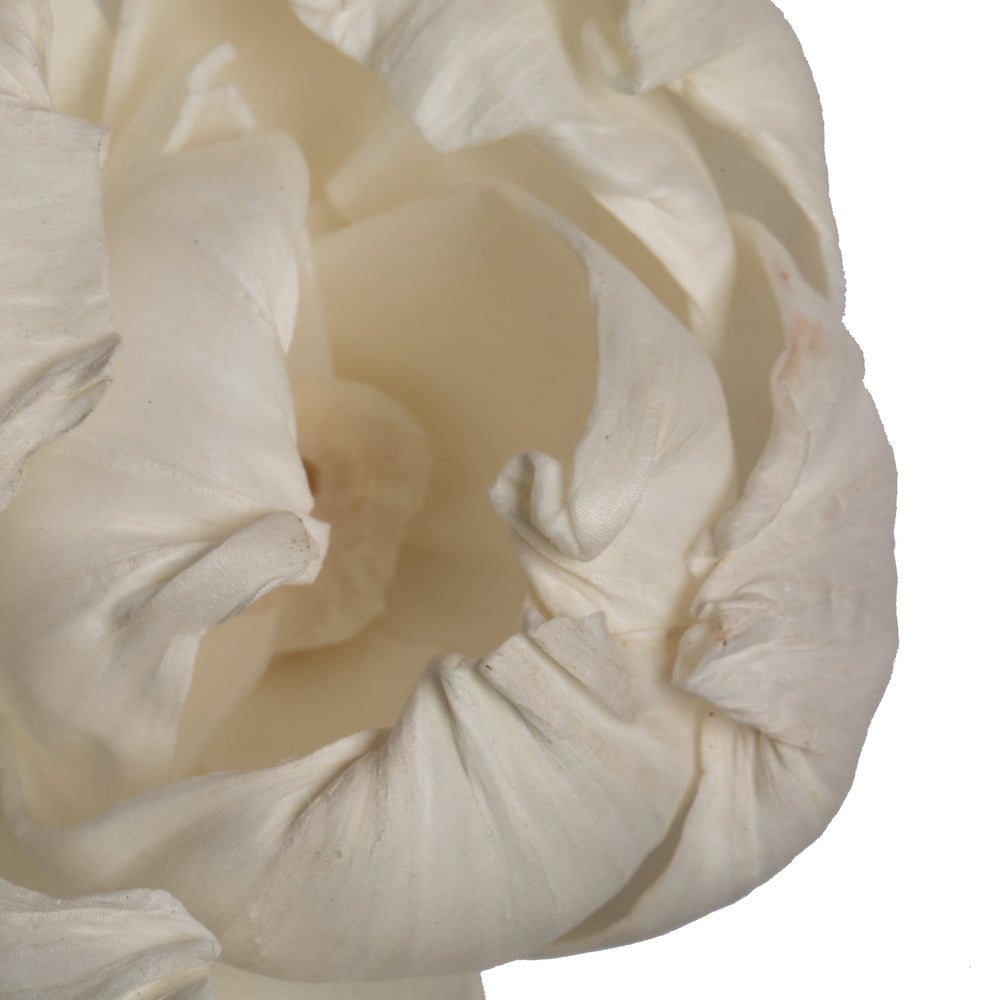 Vickerman Natural Botanicals 1.6"/2.4"/3.2" 1-3" Assorted Peony Sola Head 24/bag.