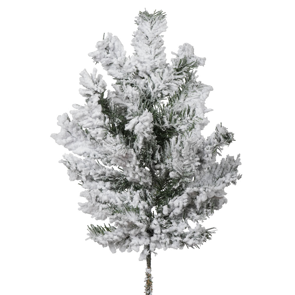 Vickerman 24" Flocked Alaskan Pine Artificial Christmas Spray. Includes 2 sprays per pack.