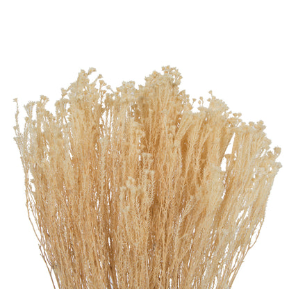 Vickerman Natural Botanicals  Staavia Bleached 100 grams per Unit