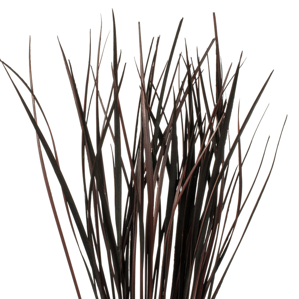 Vickerman 28" Brown Splinter Grass 11 oz Bundle Dried