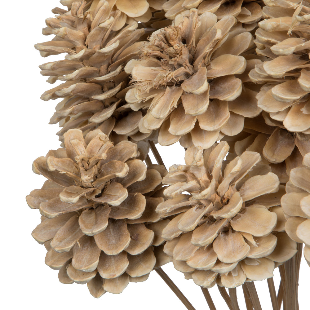 Vickerman Natural Botanicals 2" Blue Pine Bleached on Stem. Includes 25 pieces per unit.