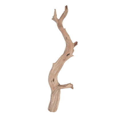 Vickerman Ghostwood Manzanita Sand Blasted 36" Dried