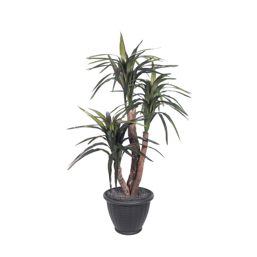 Vickerman 4' Artificial Marginata Extra Full Bush Gray Round Plastic Container.