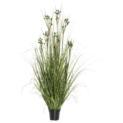 Vickerman 60" PVC Artificial Potted Green Grass with Pomp Balls.