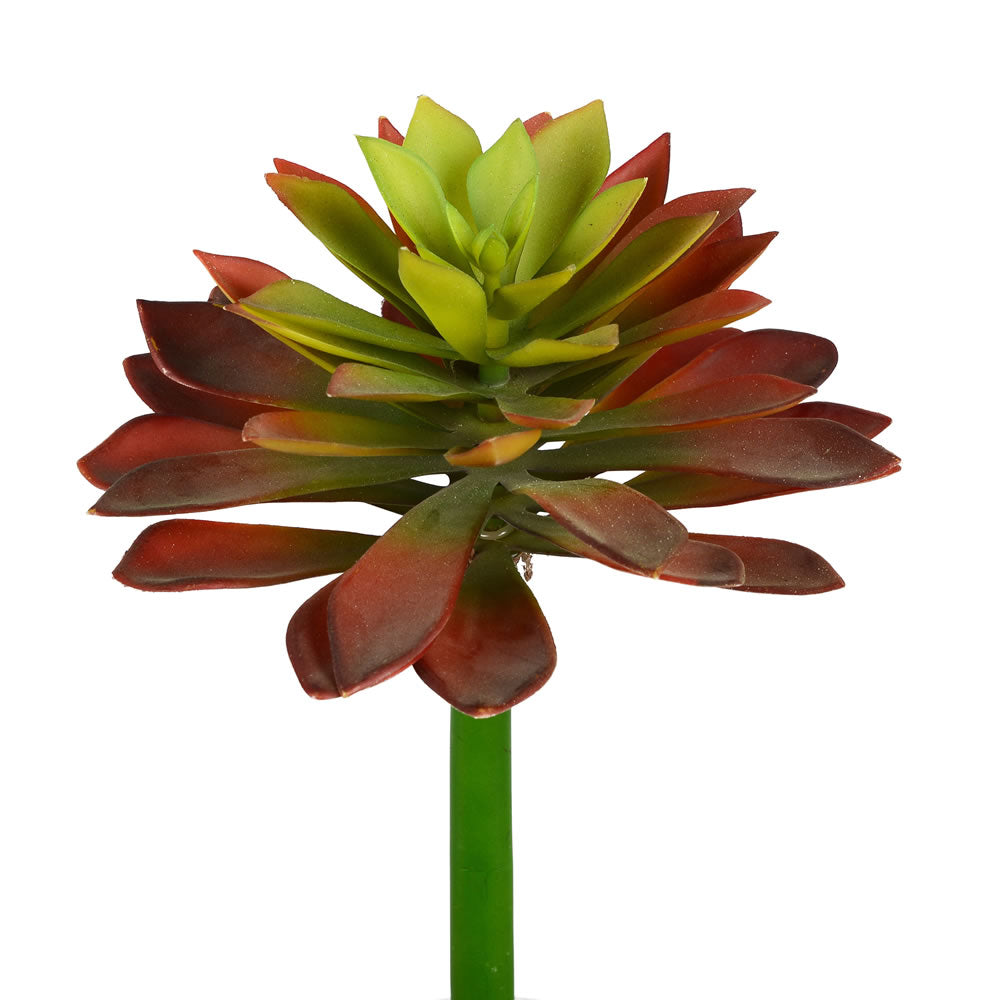 Vickerman 10" Artificial Red and Green Succulent Stem Pack of 2