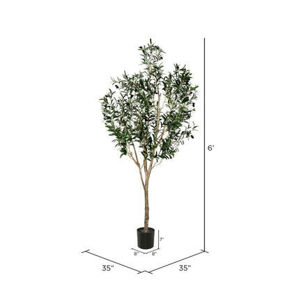 Vickerman 72" Artificial Green Olive Tree in Black Planters Pot.