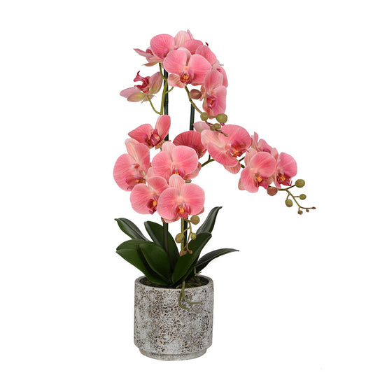 Vickerman 24" Artificial Pink Phalaenopsis In Cement Pot.