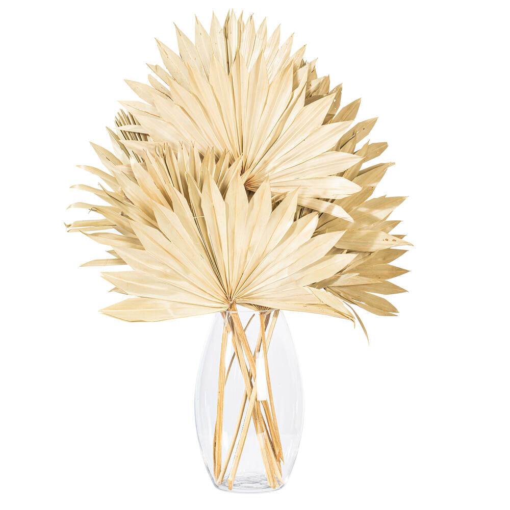 Vickerman Natural Botanicals 20" Natural Palm Sun Stem. Includes 12 Pieces per Bunch.