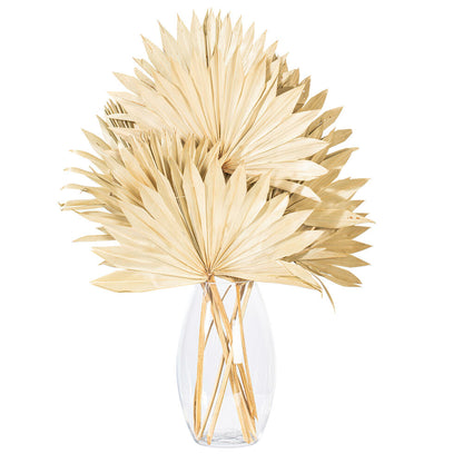Vickerman Natural Botanicals 20" Natural Palm Sun Stem. Includes 12 Pieces per Bunch.