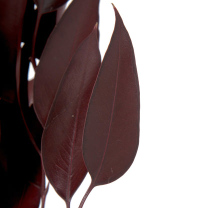 Vickerman 18" Red Weeping Willow Eucalyptus Foliage 5 oz Bundle Preserved