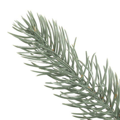 Vickerman 72" Colorado Blue Spruce Artificial Christmas Wreath Unlit