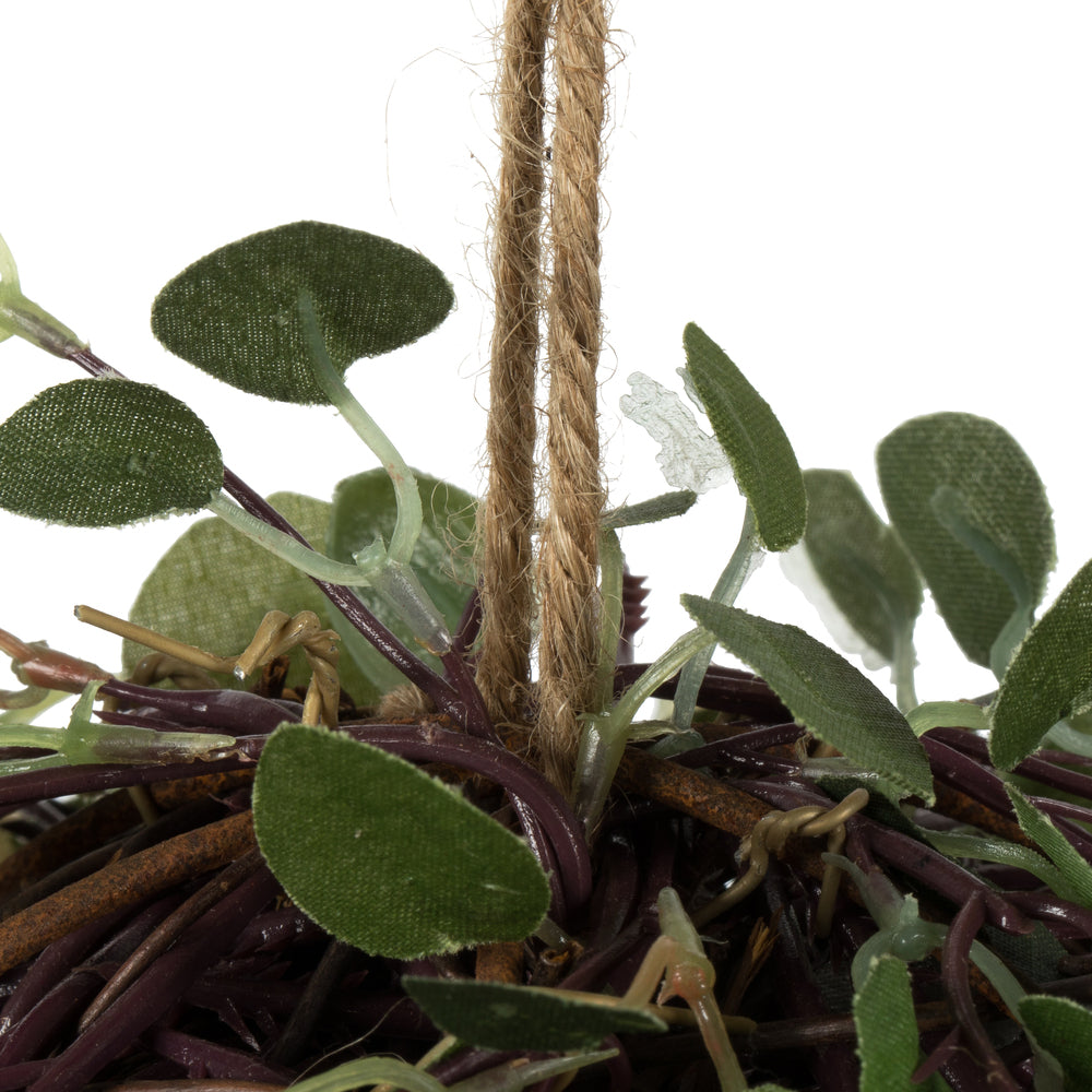 Vickerman 6" Artificial Green Angel Vine kissing ball.