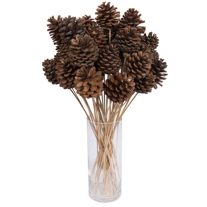 Vickerman Natural Botanicals 2" Blue Pine Natural on Stem. Includes 50 Pieces per Unit