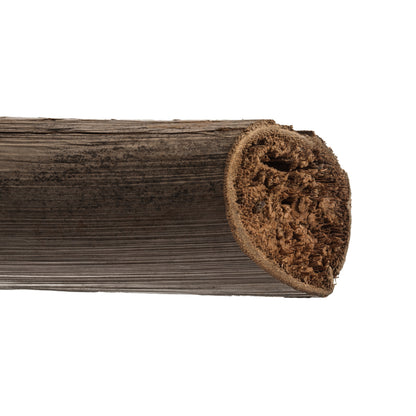 Vickerman 5-6' Natural Star Pod Stalk 1 stalk Dried