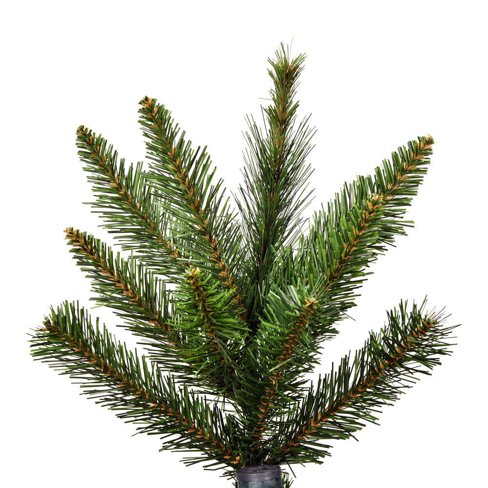 Vickerman 5.5' x 44" Bennington Spruce Artificial Christmas Tree Unlit