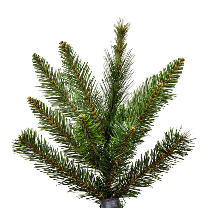 Vickerman 5.5' x 44" Bennington Spruce Artificial Christmas Tree Unlit