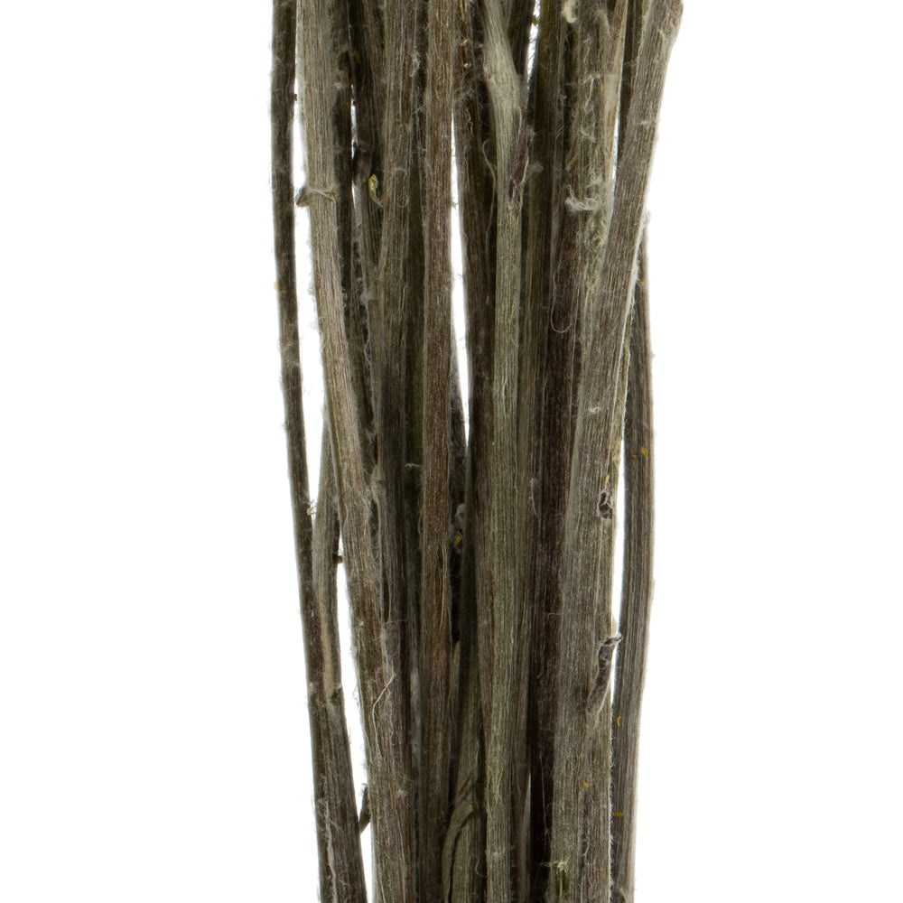 Vickerman 16-18" Yellow Billy Buttons. 25-30 stem bundle Dried