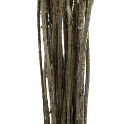 Vickerman 16-18" Yellow Billy Buttons. 25-30 stem bundle Dried