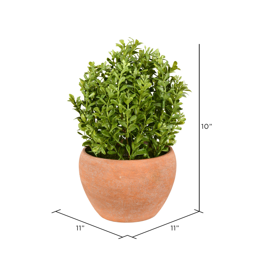 Vickerman 10" Artificial Green Potted Boxwood Bush Ceramic Container
