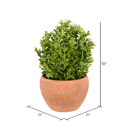 Vickerman 10" Artificial Green Potted Boxwood Bush Ceramic Container