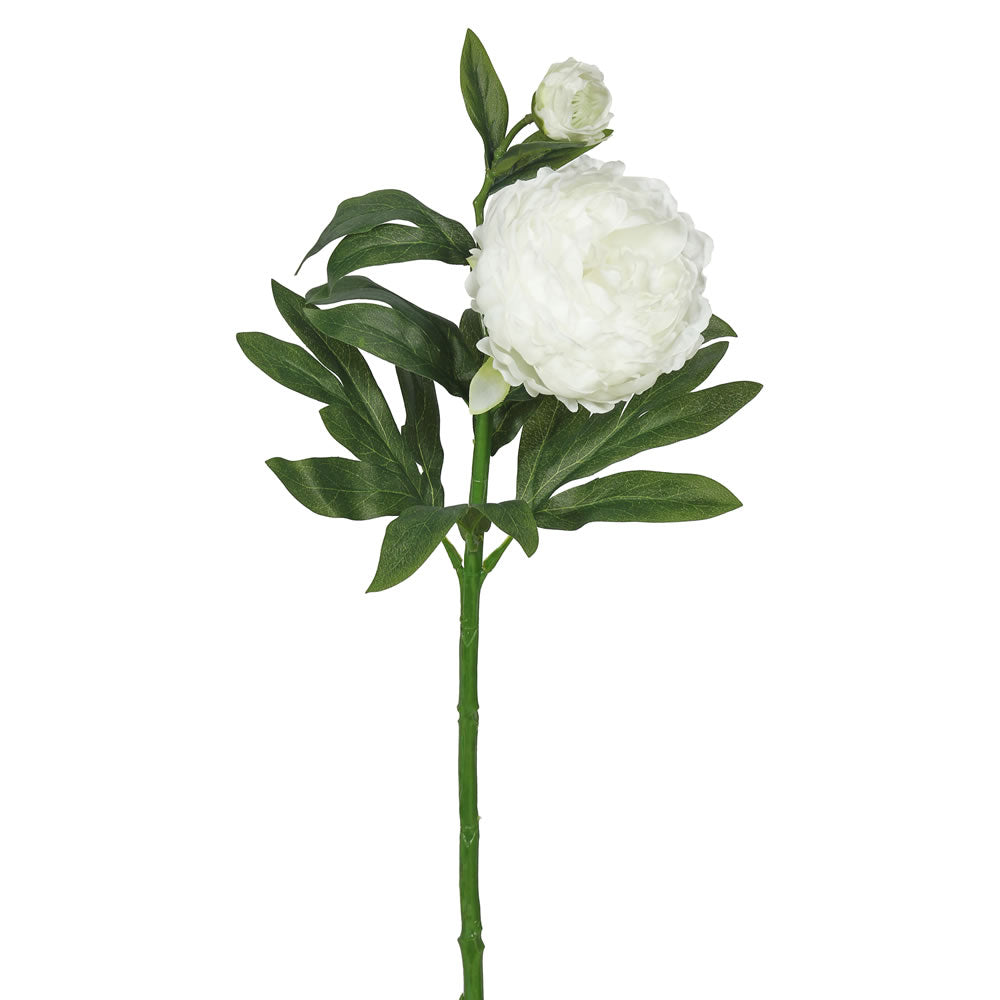 Vickerman 24" Artificial Cream Peony Stem Set of 3