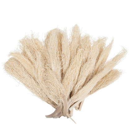 Vickerman Natural Botanicals 8"-12" Khejur Jhar Bleached. Includes 25 pieces per Pack.