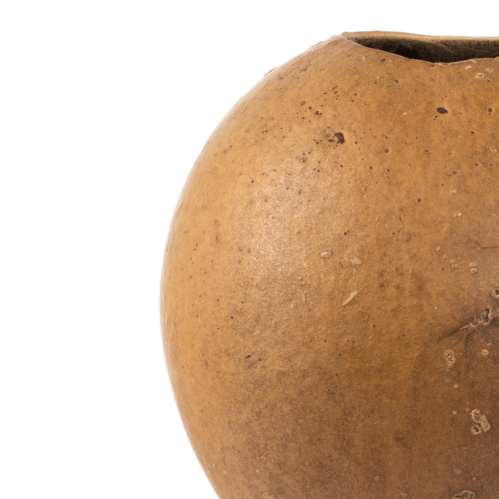 Vickerman 6-7"H x 6-8"W Natural Bacacuia Gourd Set of 3 Dried