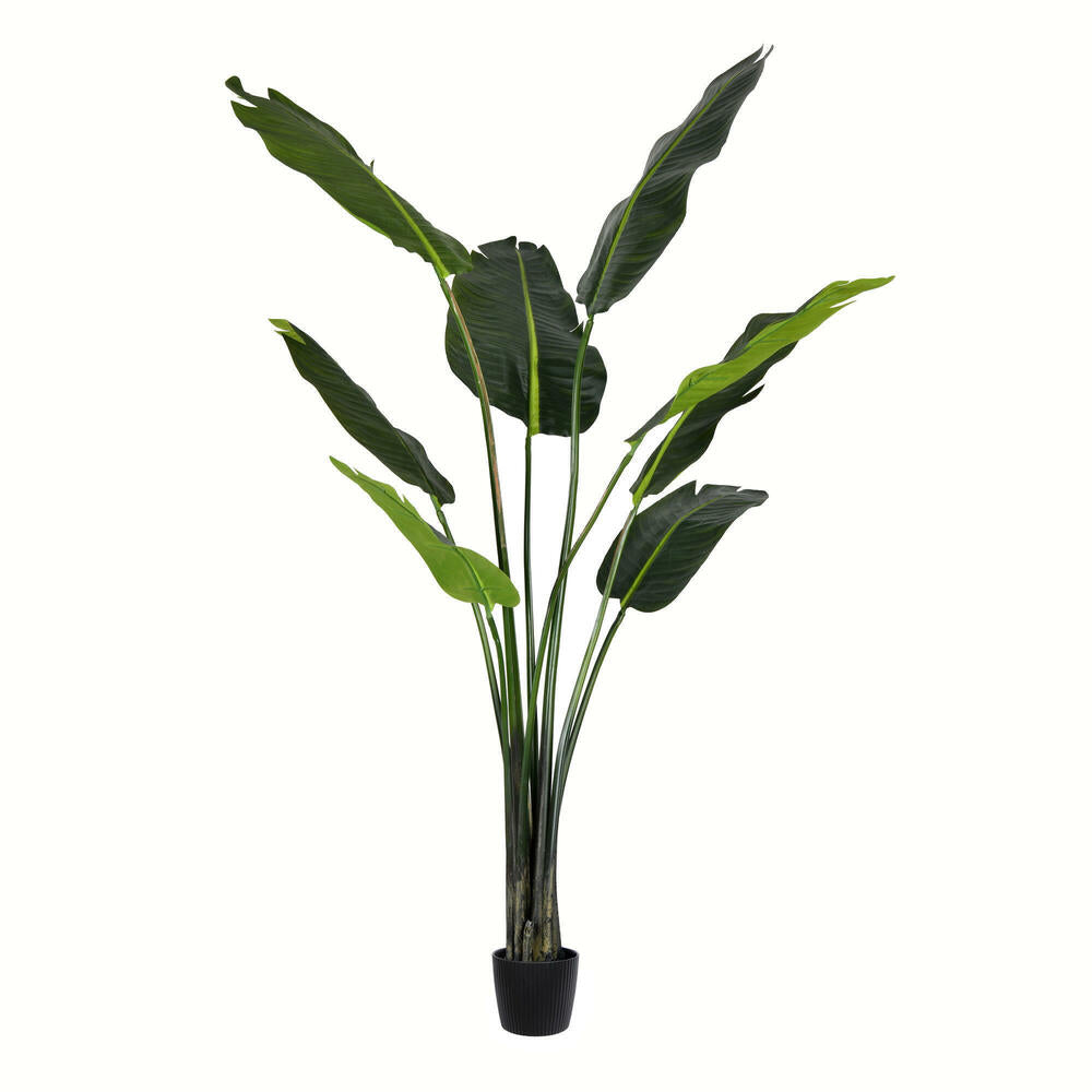 Vickerman 5' Artificial Potted Travellers Palm Tree.