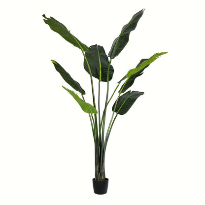 Vickerman 5' Artificial Potted Travellers Palm Tree.