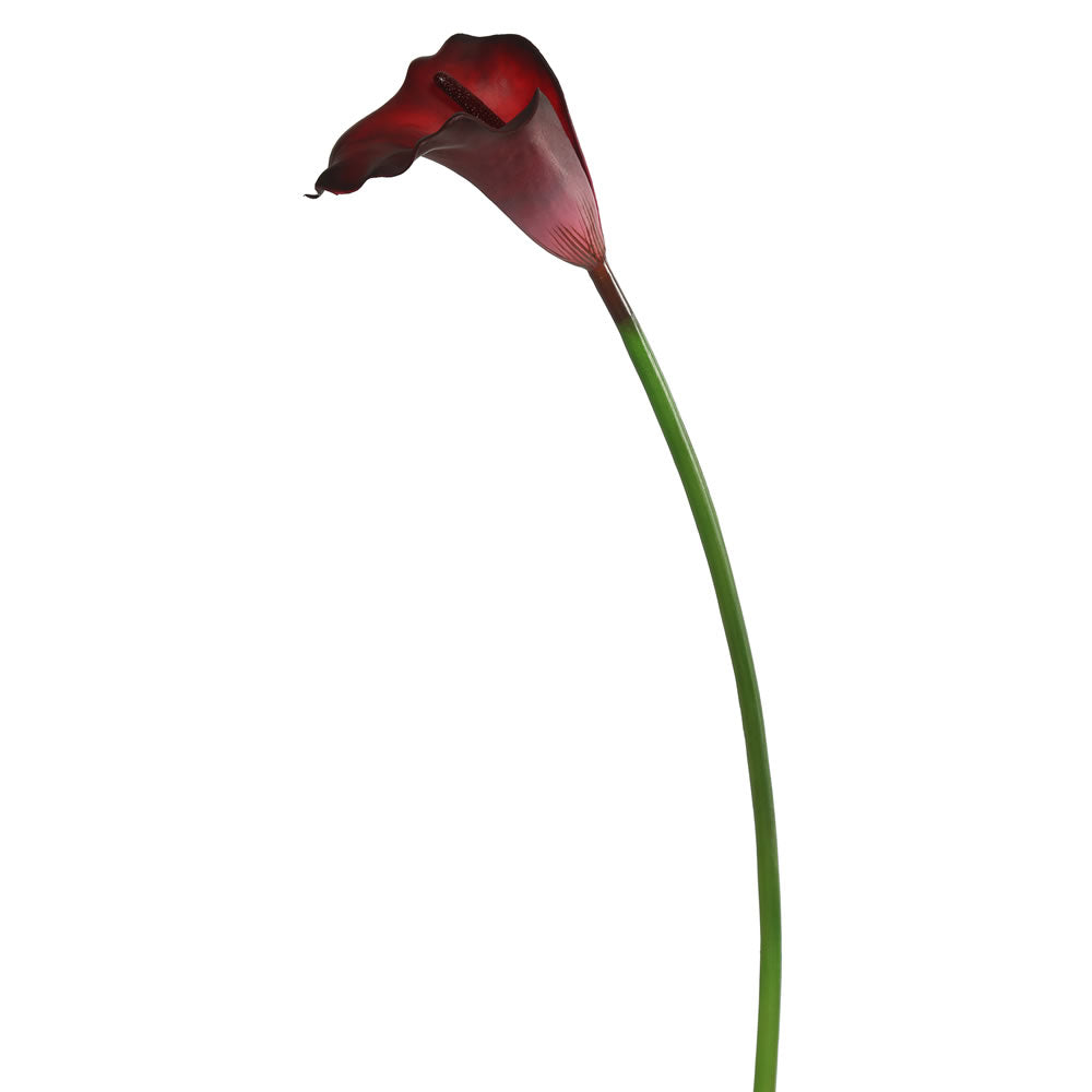 Vickerman 28" Artificial Burgundy Large Stem Calla Lily