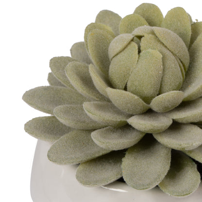 Vickerman 3.5" Artificial Green Succulents Assorted Set in Containers 4/pk