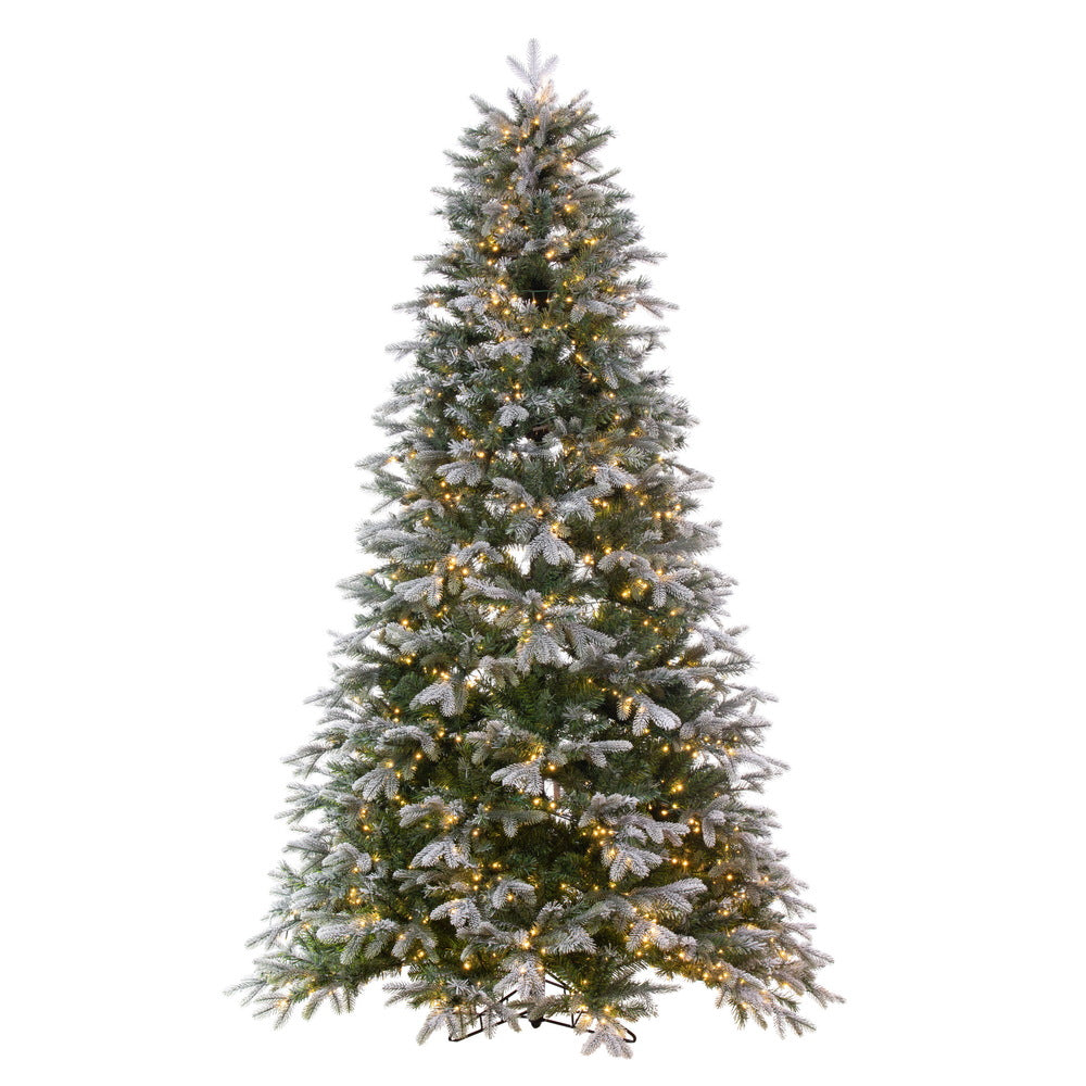 Vickerman 12' x 83" Frosted Douglas Fir Artificial Christmas Tree with Warm White LED Lights.