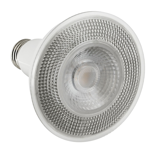 Euri Lighting EP30-10W5000cec-2 E-Lite LED PAR30 Lamp Long-Neck